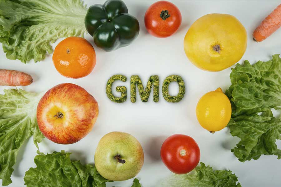 What are GMOs: Are they dangerous?